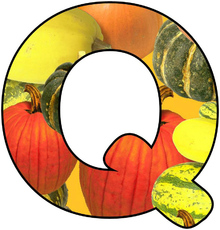 Herbstbuchstabe-8-Q.jpg